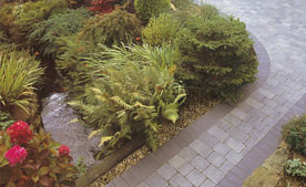 Paved pathway through a garden