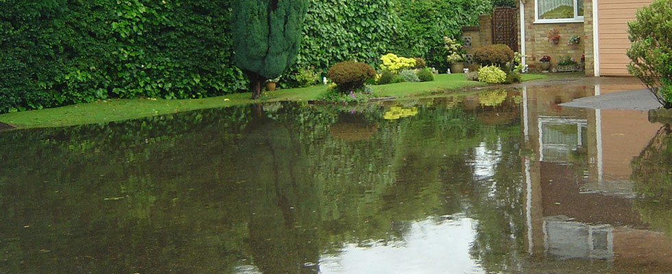 Worker carefully laying bricks for a driveway